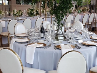 Krzesła Glamour Louise - kolor biały ze złotymi elementami